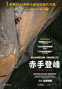 Free Solo Poster